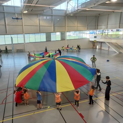 Dd4e495b f9b0 4ee1 a8fe 3033677c70c3