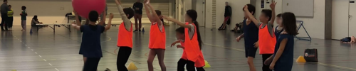 Ecole du sport