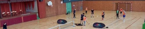 Multisport adulte